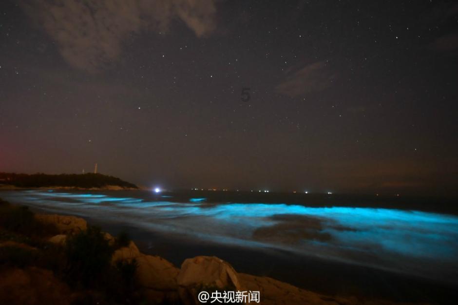 沪江开心词场
